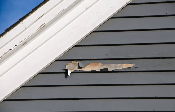 Best Construction Debris Removal  in Alma, NE