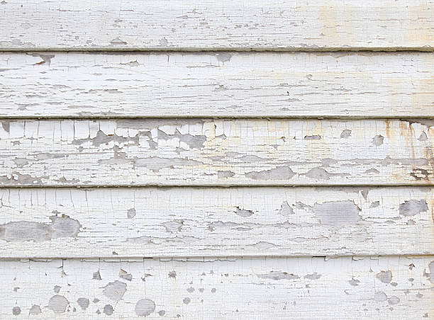 Best Hoarding Cleanup  in Alma, NE